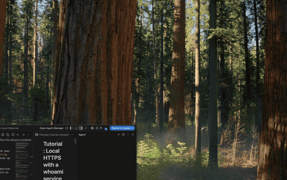 whoami.local trusted in browser